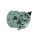 Gear motor