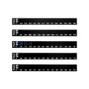 DIGITEMP&reg; - Fl&uuml;ssigkristallthermometer -reversibel-