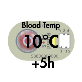 10 &deg;C + 5h